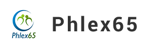 phlex-65-icon