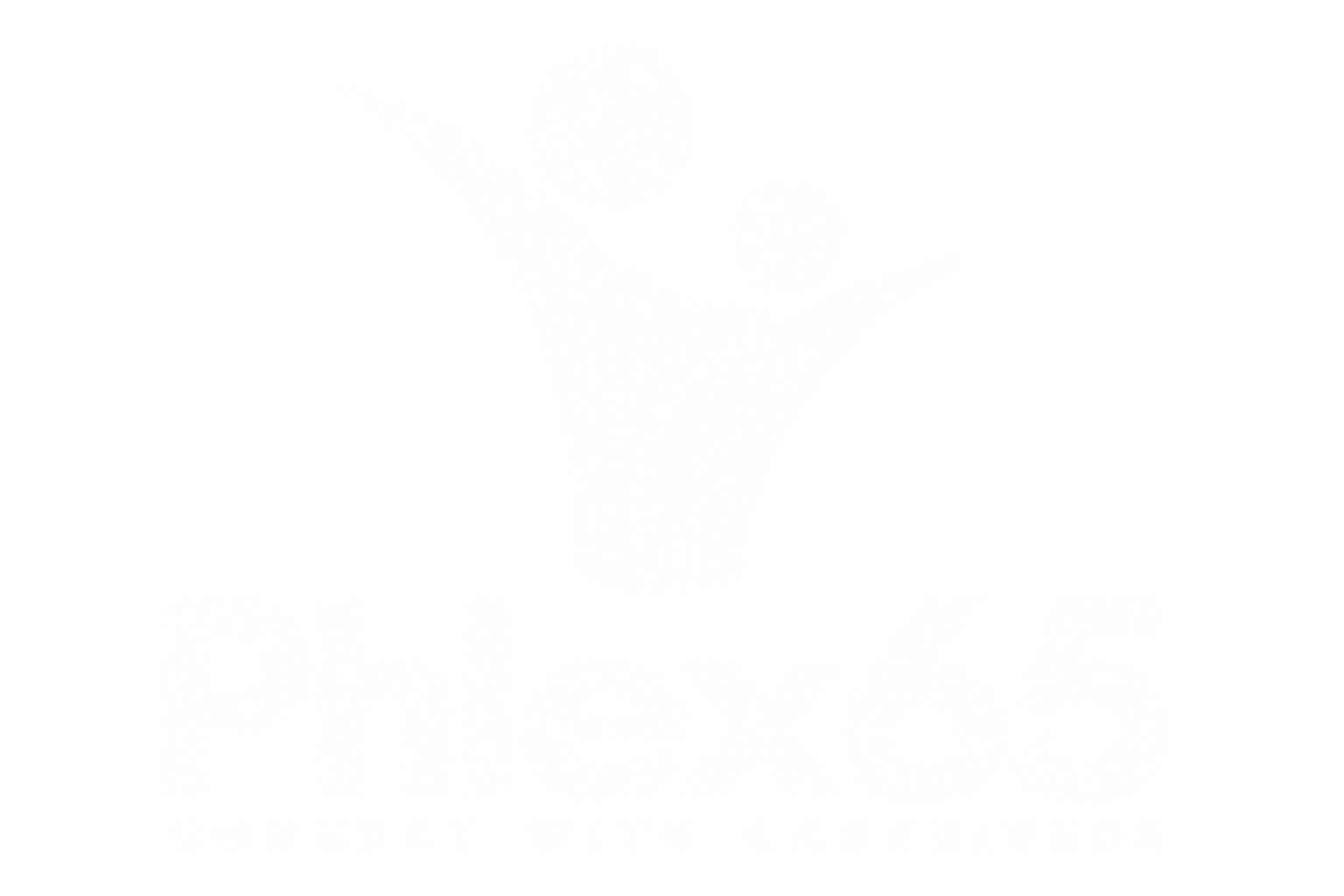 Phlex65