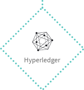 Blockchain platform-hyperledger