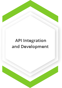 api integration and development