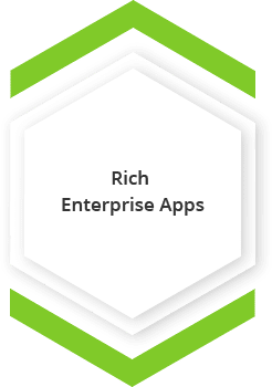 rich enterprise app