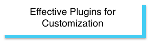 Effective Plugins for Customization