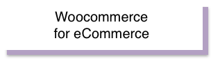Woocommerce for eCommerce